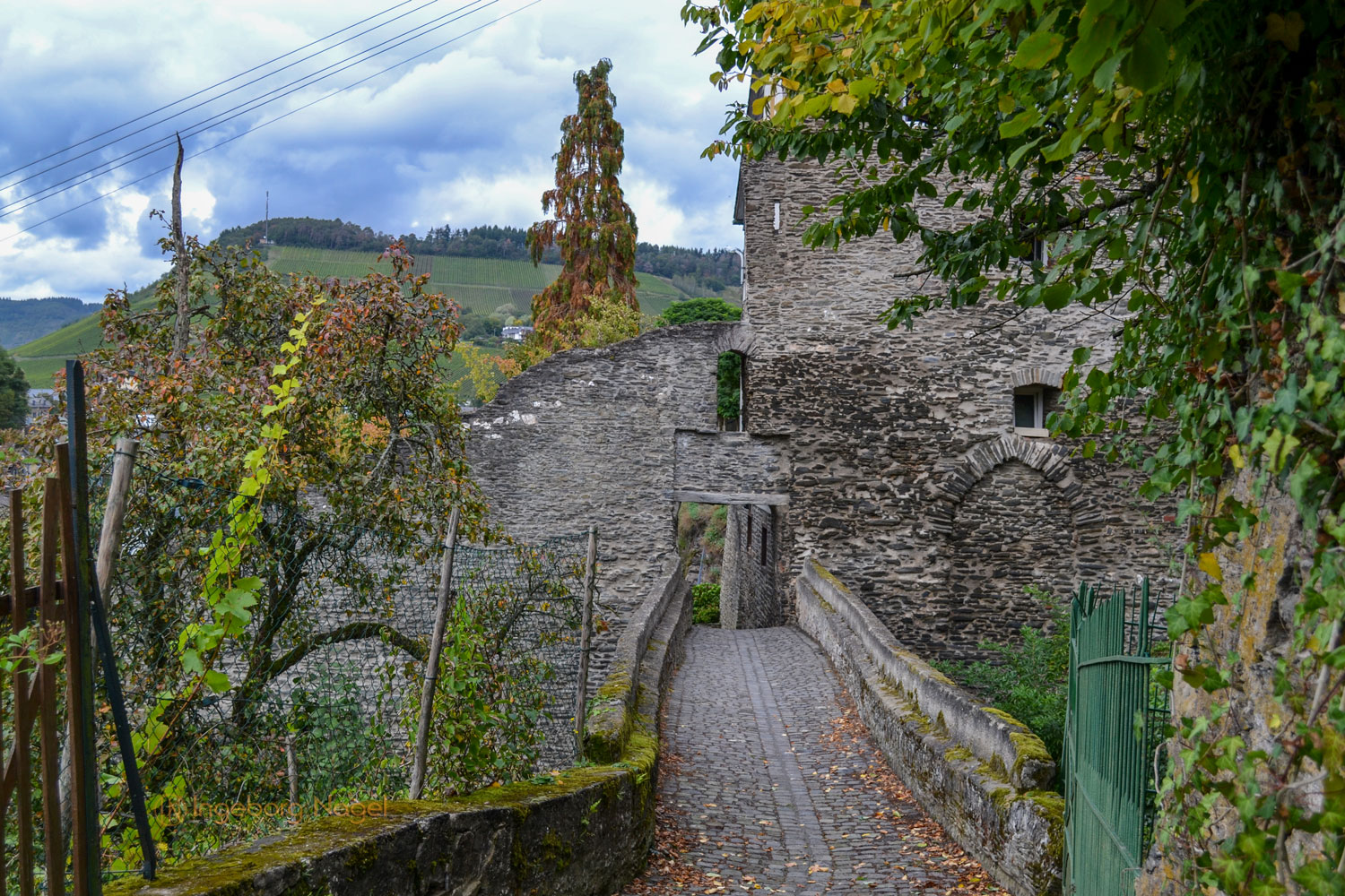 Traben-Trarbach - Teil 1 Stadtteil Trarbach 20 DSC_0597