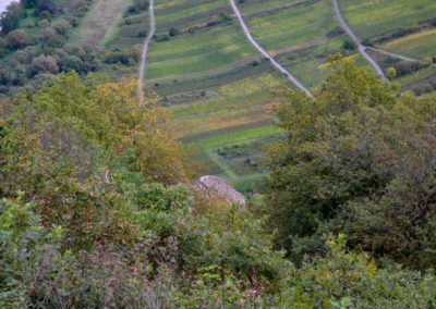 Blick vom Bremmer Calmont auf Kloster Stuben