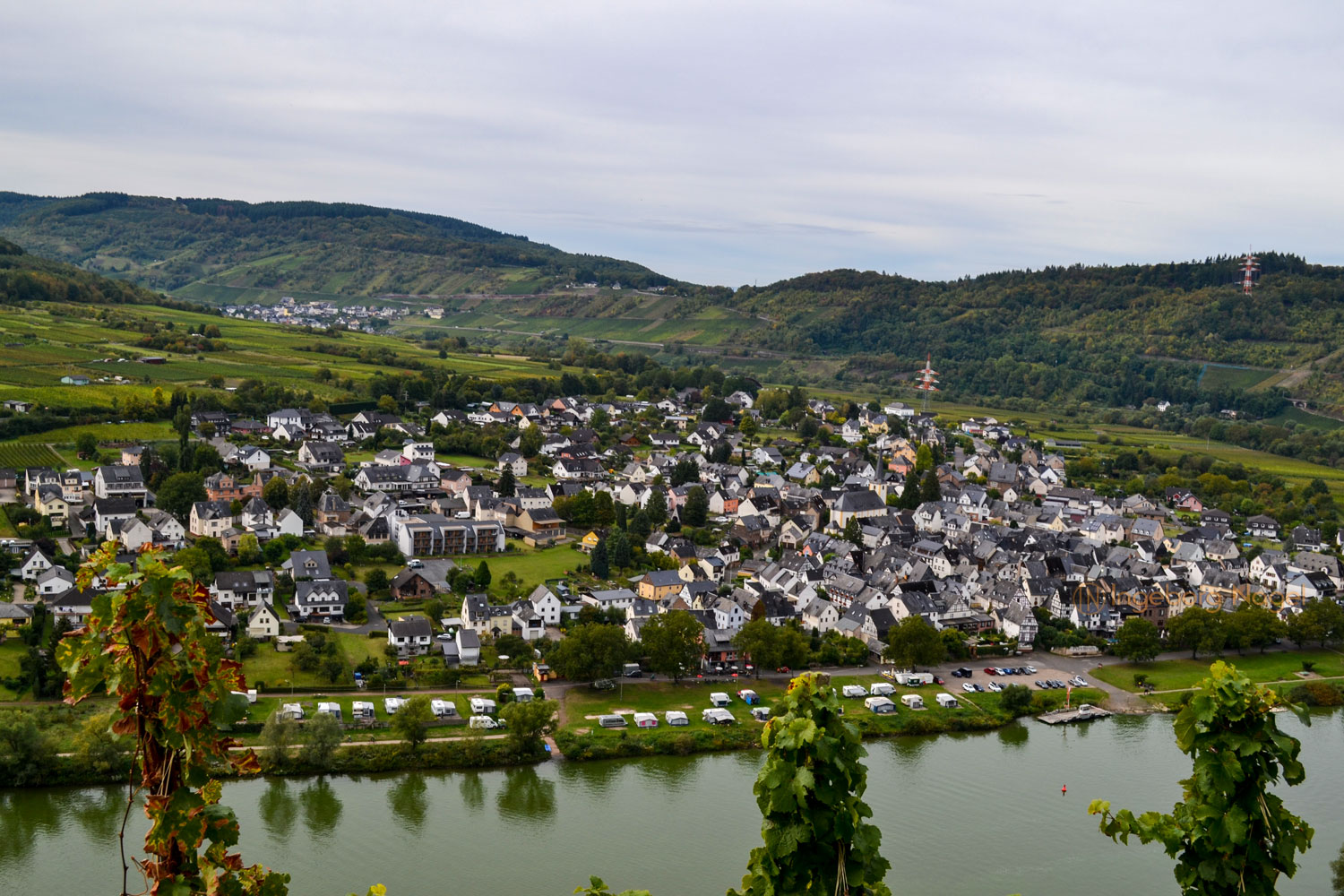Die Marienburg an der Mosel 3 DSC_0843