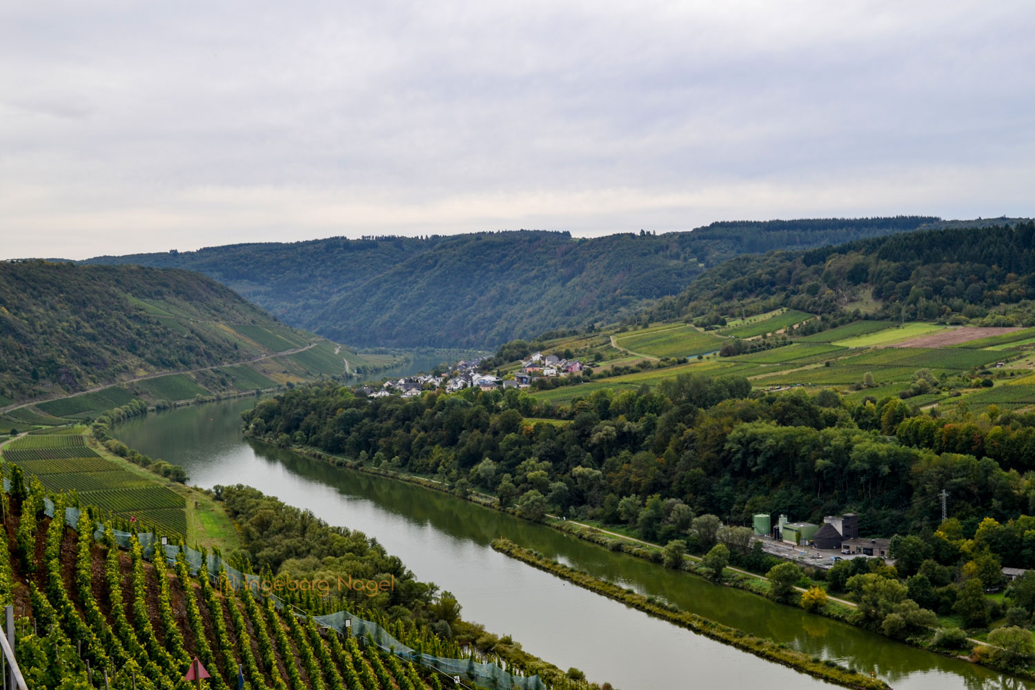 Die Marienburg an der Mosel 1 DSC_0874