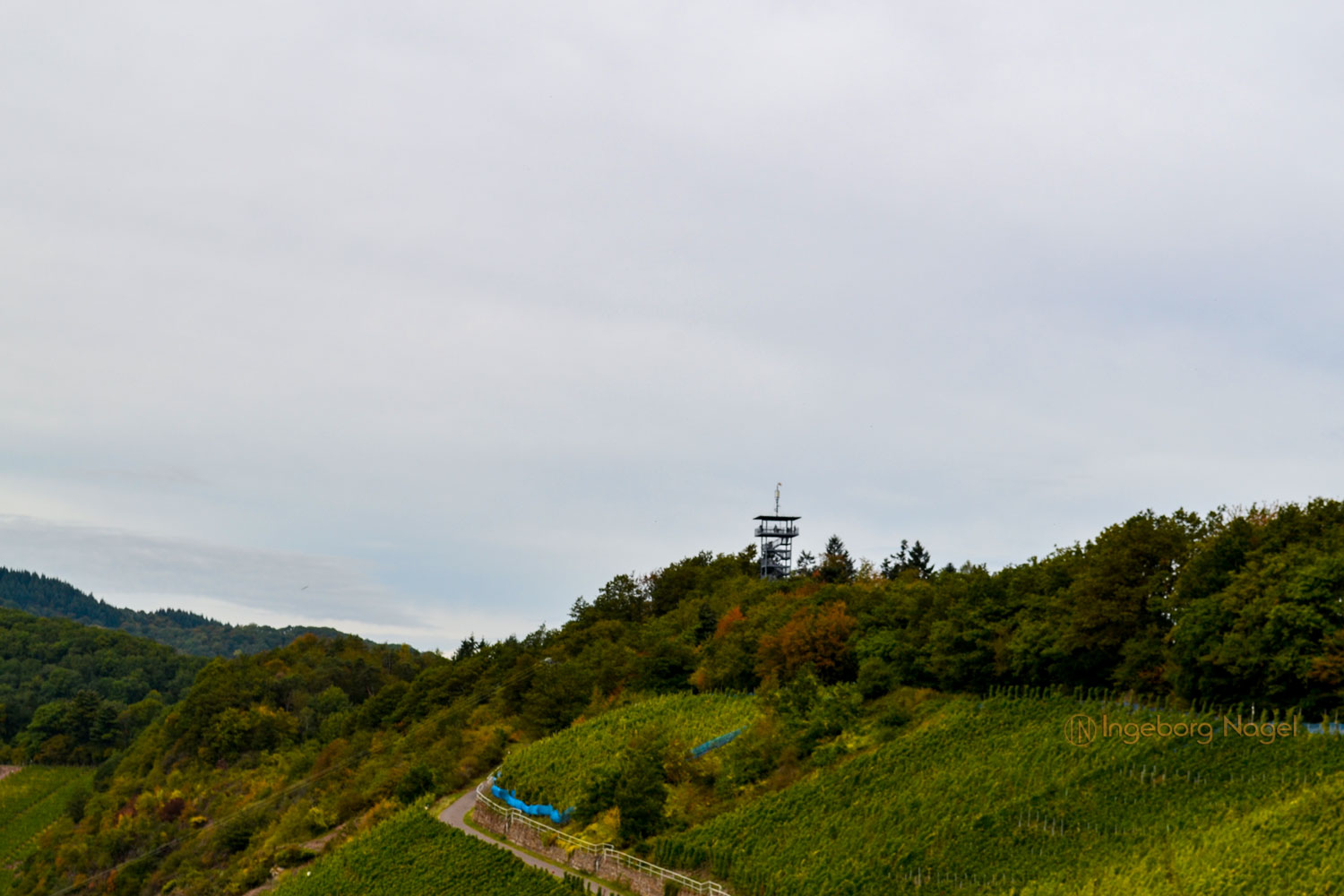Die Marienburg an der Mosel 18 DSC_0875