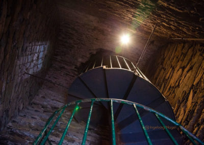 Burg Metternich an der Mosel 12 Burg Metternich über Beilstein an der Mosel