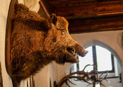 Die Reichsburg in Cochem - Burgführung 23 Reichsburg Cochem