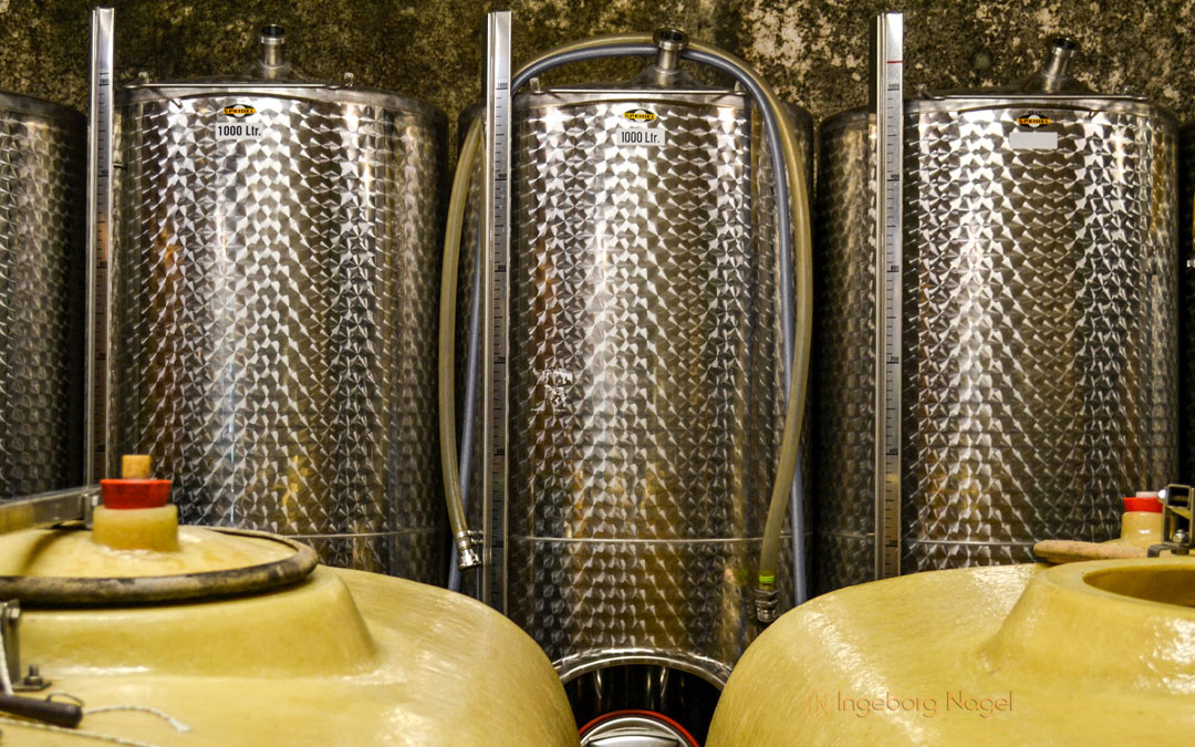 Weingut Karl-Otto Binninger in Briedel