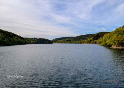 Viel Wald und Wasser - Im Sauerland 19 Listertalsperre