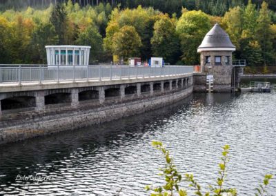 Viel Wald und Wasser - Im Sauerland 18 Listertalsperre