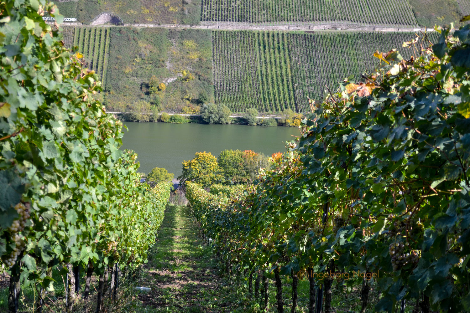 Best of 2019 - meine Reisehighlights, Teil 3 1 DSC_0039