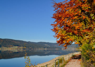 Der Schluchsee im Schwarzwald 18 Schluchsee Schwarzwald
