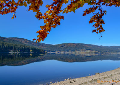 Der Schluchsee im Schwarzwald 19 Schluchsee Schwarzwald