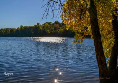 Viel Wald und Wasser - Im Sauerland 12 Biggetalsperre