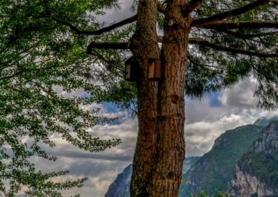 Nach einer atemberaubenden Fahrt - wir sind wieder in Riva del Garda 16 am Gardasee