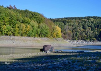 Viel Wald und Wasser - Im Sauerland 15 Biggetalsperre