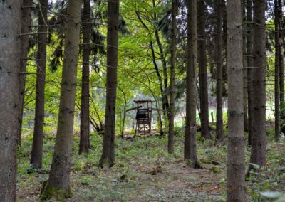 Viel Wald und Wasser - Im Sauerland 2 Sauerland bei Olpe