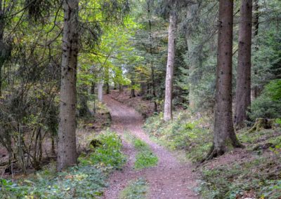 Viel Wald und Wasser - Im Sauerland 3 Sauerland bei Olpe