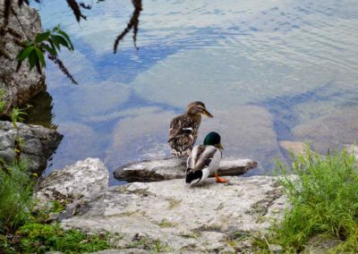 Nach einer atemberaubenden Fahrt - wir sind wieder in Riva del Garda 23 am Gardasee