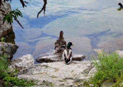 Nach einer atemberaubenden Fahrt - wir sind wieder in Riva del Garda 24 am Gardasee