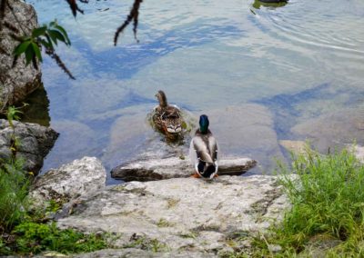 Nach einer atemberaubenden Fahrt - wir sind wieder in Riva del Garda 26 am Gardasee