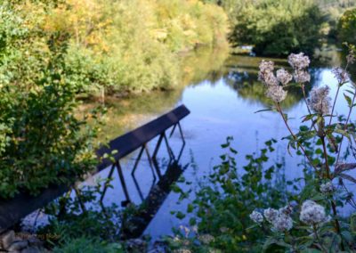 Viel Wald und Wasser - Im Sauerland 29 Halver