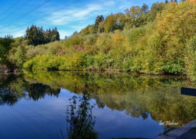 Viel Wald und Wasser - Im Sauerland 31 Halver