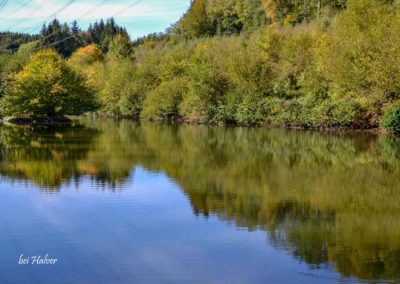 Viel Wald und Wasser - Im Sauerland 32 Halver