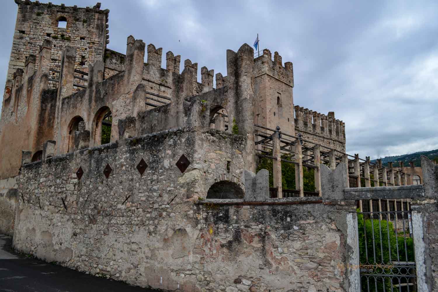 Torri del Benaco am Gardasee 3 DSC_0269