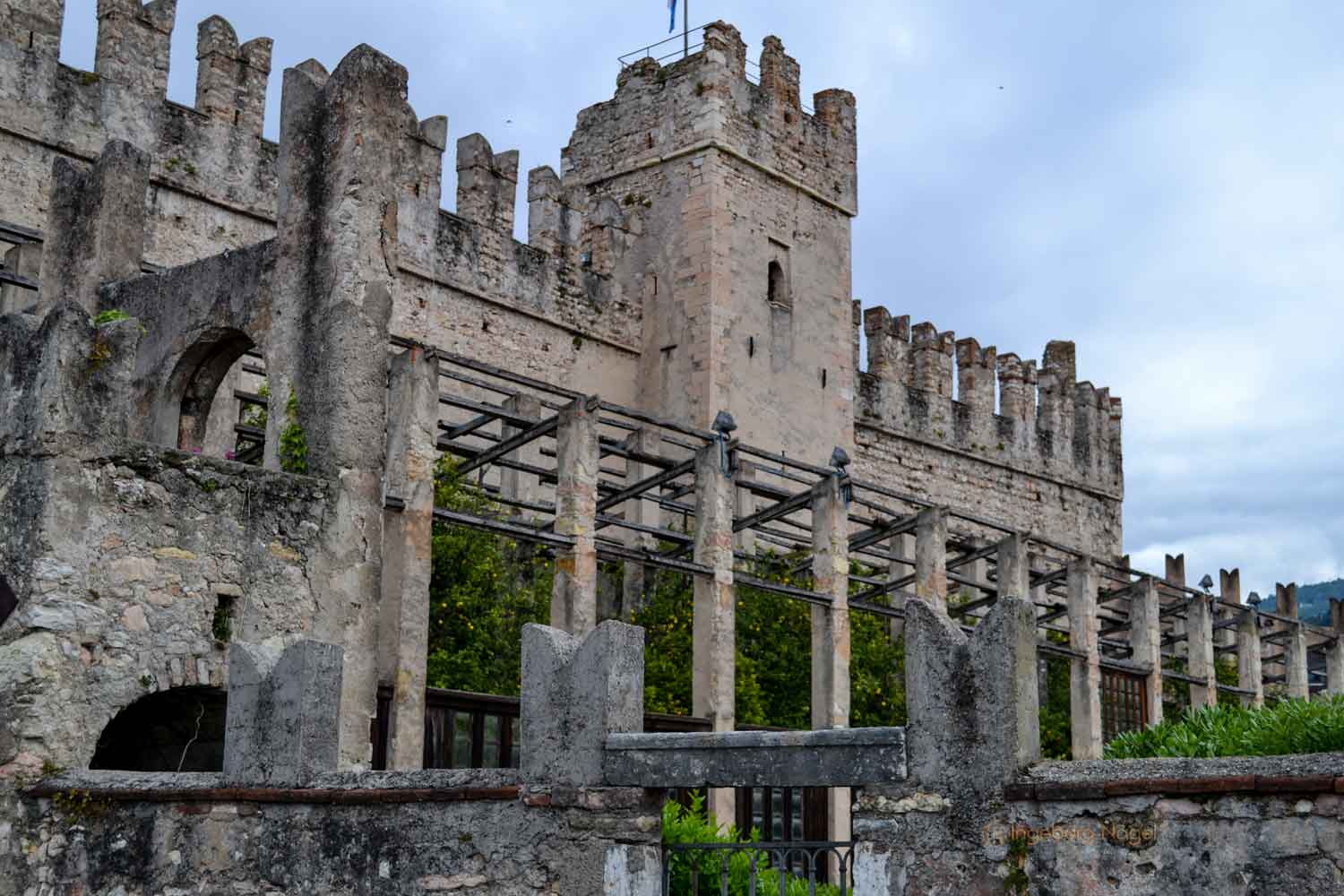 Torri del Benaco am Gardasee 2 DSC_0270