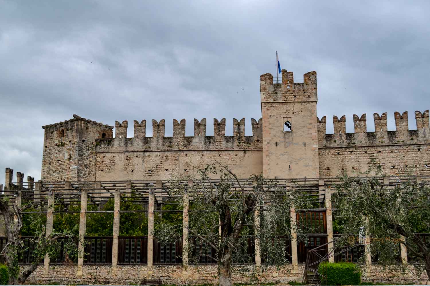 Torri del Benaco am Gardasee 1 DSC_0275