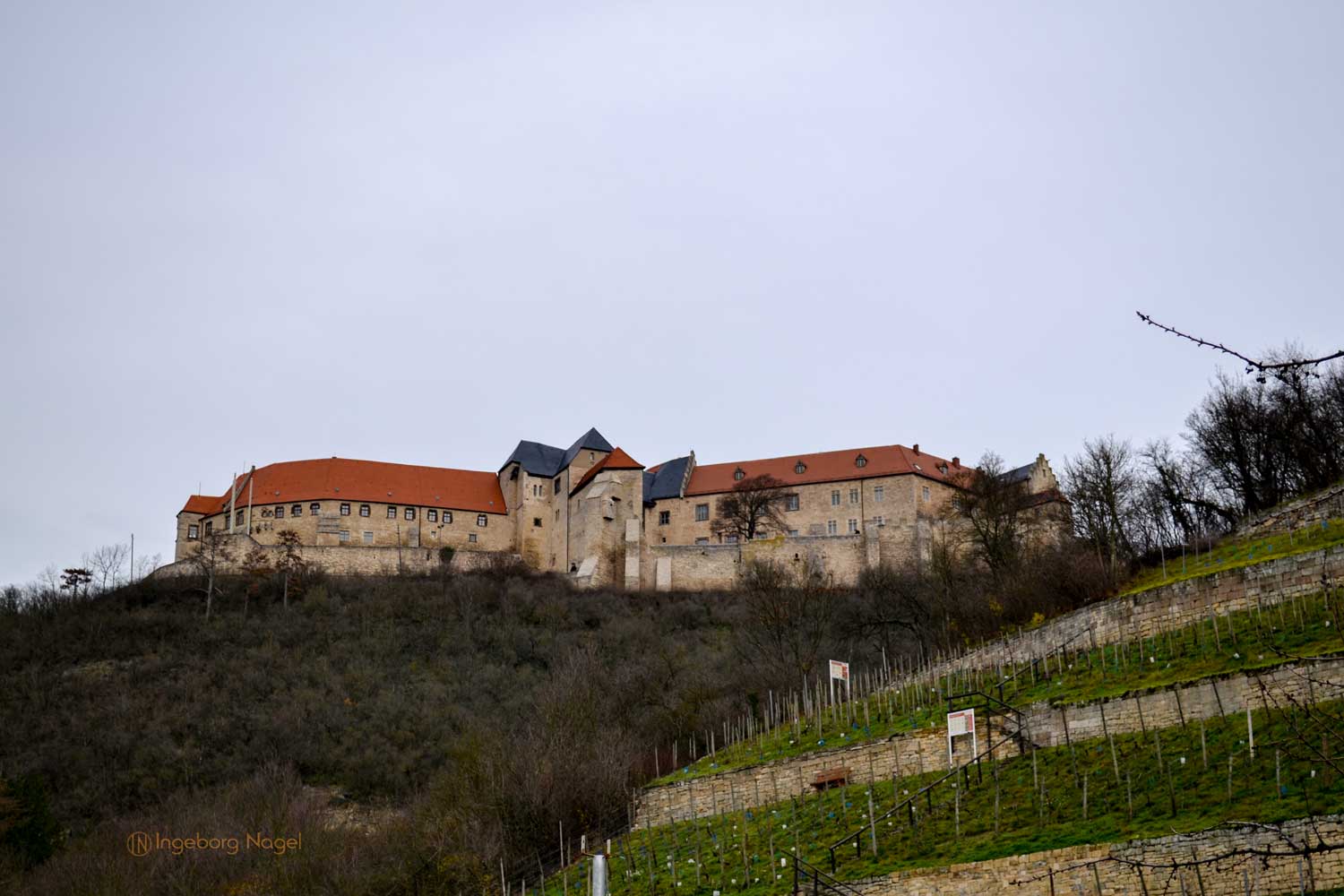 Freyburg (Unstrut) 33 DSC_0293