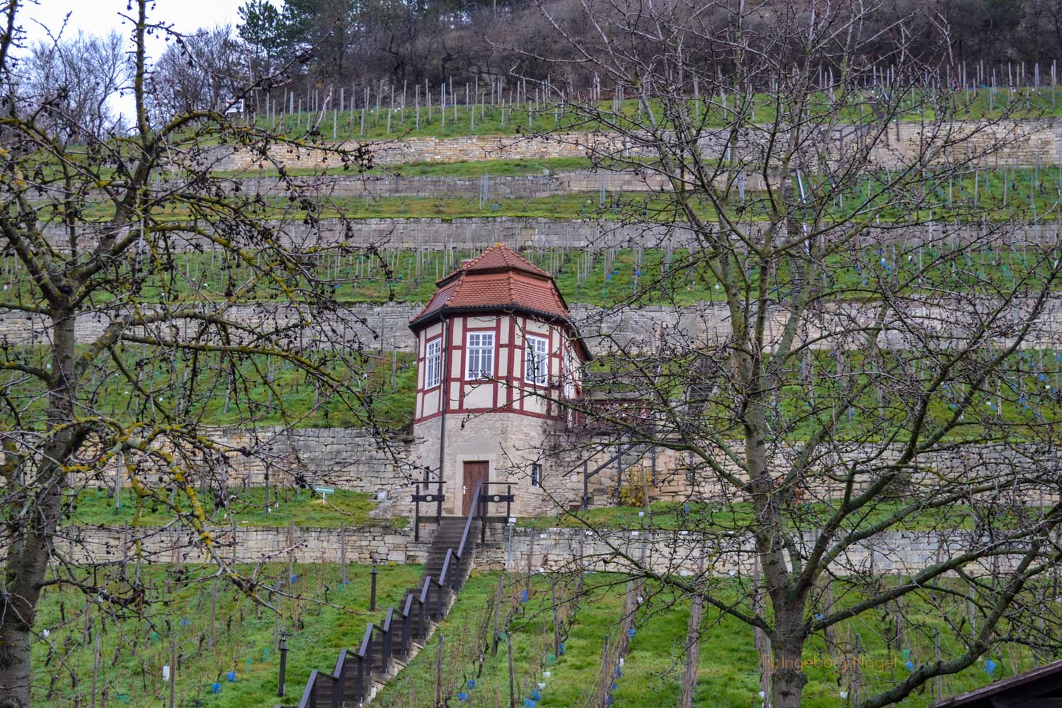 Freyburg (Unstrut) 32 DSC_0294