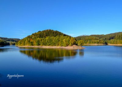Viel Wald und Wasser - Im Sauerland 39 Aggertalsperre
