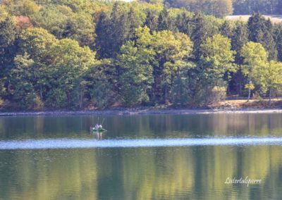 Viel Wald und Wasser - Im Sauerland 21 Listertalsperre