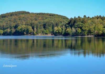Viel Wald und Wasser - Im Sauerland 23 Listertalsperre