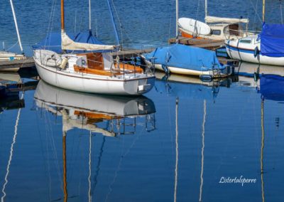 Viel Wald und Wasser - Im Sauerland 24 Listertalsperre