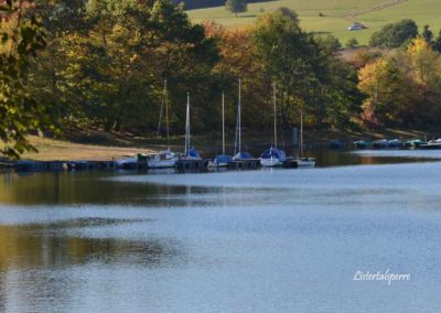Viel Wald und Wasser - Im Sauerland 28 Listertalsperre