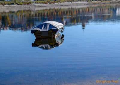 Der Schluchsee im Schwarzwald 27 Schluchsee Schwarzwald