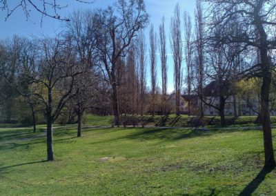 Bad Mergentheim Kurpark