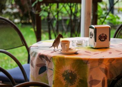 Nach einer atemberaubenden Fahrt - wir sind wieder in Riva del Garda 7 Lago di Molveno