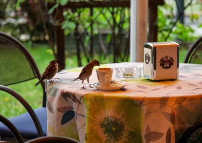 Nach einer atemberaubenden Fahrt - wir sind wieder in Riva del Garda 8 Lago di Molveno