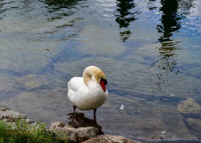 Nach einer atemberaubenden Fahrt - wir sind wieder in Riva del Garda 21 am Gardasee