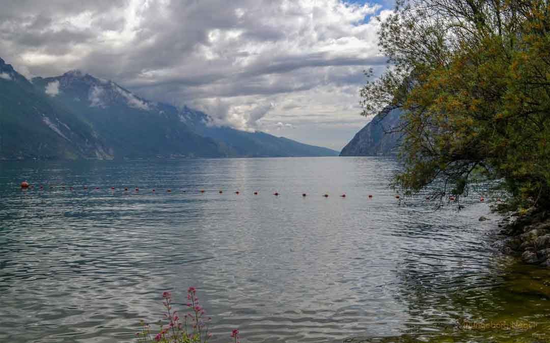 Nach einer atemberaubenden Fahrt – wir sind wieder in Riva del Garda