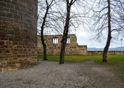 Die Schönburg 22 Burg Schönburg