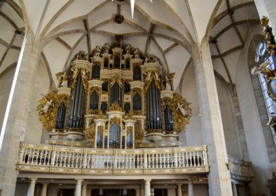 Der Kaiserdom zu Merseburg 33 Orgel Kaiserdom in Merseburg