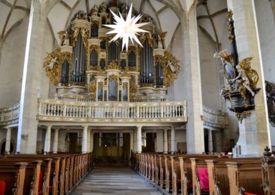 Der Kaiserdom zu Merseburg 32 Orgel Kaiserdom in Merseburg
