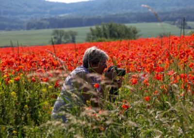 Inges Reiseblog-Mohnfeld in Thüringen
