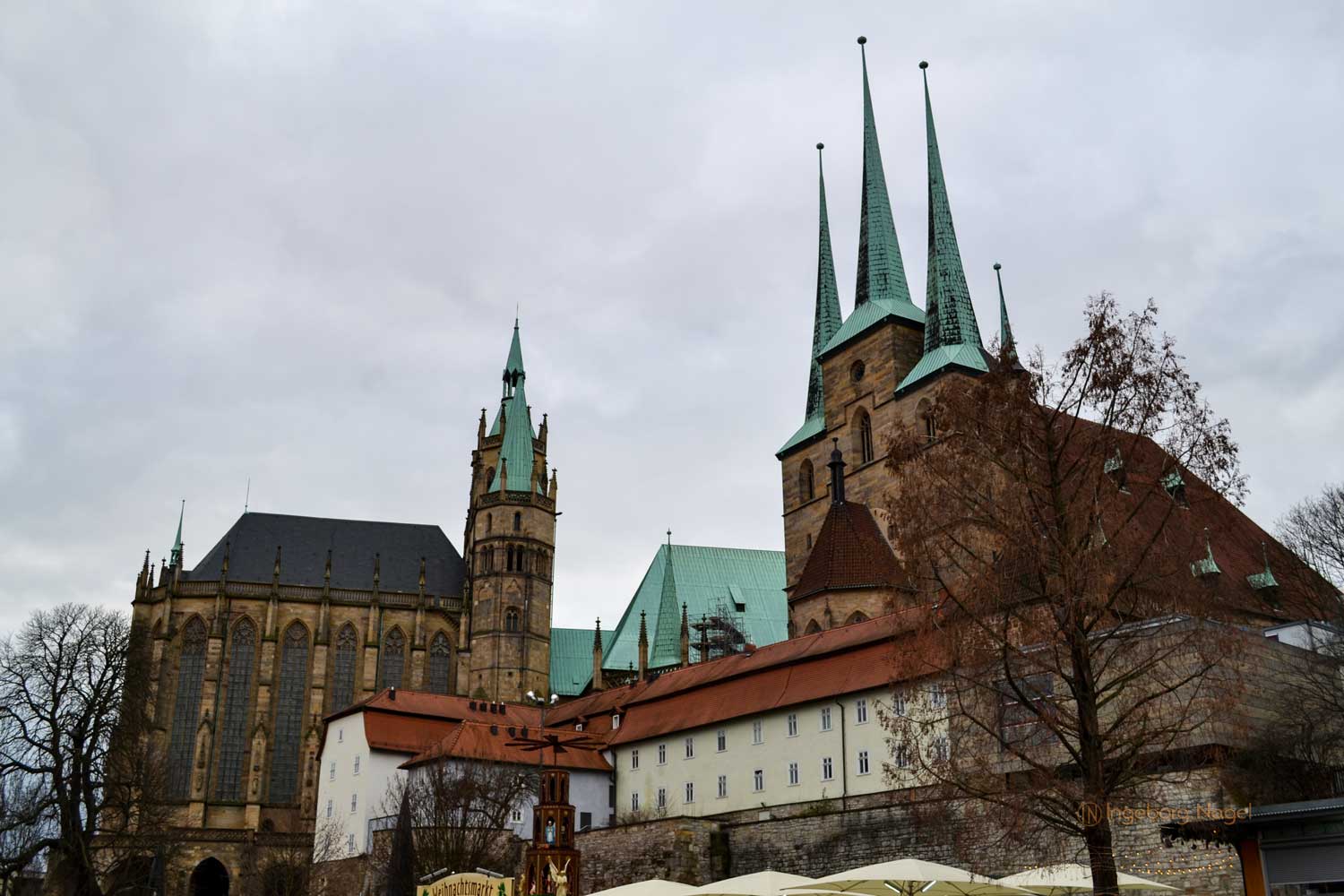 Die Kirche St. Severi in Erfurt 1 DSC_0061