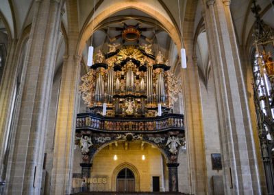 Die Kirche St. Severi in Erfurt 10 St. Severi Erfurt