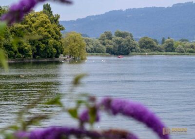 Der Bodensee bei Lindau