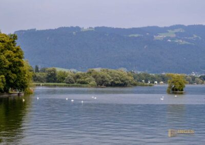 Der Bodensee bei Lindau