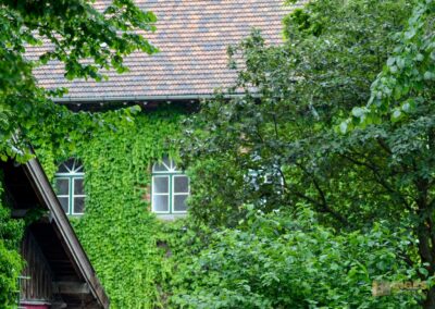 Antiquitäten in Lindau am Bodensee