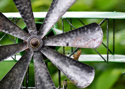 Antiquitäten in Lindau am Bodensee